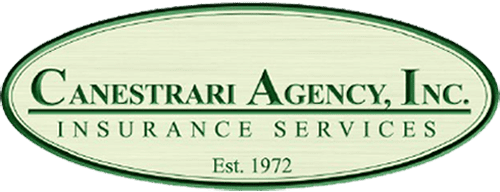 Canestrari Agency, Inc. - Logo Icon